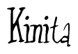 The image contains the word 'Kinita' written in a cursive, stylized font.