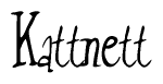 The image is a stylized text or script that reads 'Kattnett' in a cursive or calligraphic font.