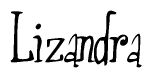 The image contains the word 'Lizandra' written in a cursive, stylized font.