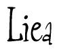 The image is of the word Liea stylized in a cursive script.