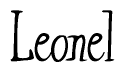 The image is of the word Leonel stylized in a cursive script.