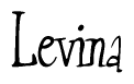 The image is of the word Levina stylized in a cursive script.