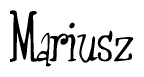 The image is of the word Mariusz stylized in a cursive script.