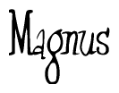 The image is of the word Magnus stylized in a cursive script.