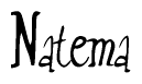 The image is a stylized text or script that reads 'Natema' in a cursive or calligraphic font.