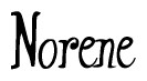 The image contains the word 'Norene' written in a cursive, stylized font.