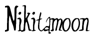 The image is a stylized text or script that reads 'Nikitamoon' in a cursive or calligraphic font.