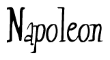 The image is a stylized text or script that reads 'Napoleon' in a cursive or calligraphic font.
