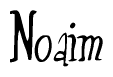 The image is a stylized text or script that reads 'Noaim' in a cursive or calligraphic font.