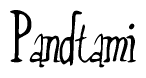 The image contains the word 'Pandtami' written in a cursive, stylized font.