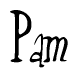 The image contains the word 'Pam' written in a cursive, stylized font.