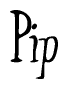The image is of the word Pip stylized in a cursive script.