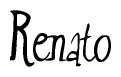 The image is a stylized text or script that reads 'Renato' in a cursive or calligraphic font.