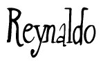 The image is of the word Reynaldo stylized in a cursive script.