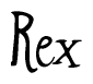The image is of the word Rex stylized in a cursive script.