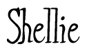 The image is of the word Shellie stylized in a cursive script.