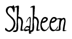 The image contains the word 'Shaheen' written in a cursive, stylized font.