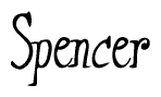 The image is of the word Spencer stylized in a cursive script.