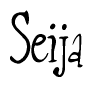 The image is of the word Seija stylized in a cursive script.