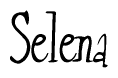The image contains the word 'Selena' written in a cursive, stylized font.