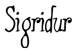 The image contains the word 'Sigridur' written in a cursive, stylized font.