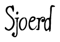 The image is a stylized text or script that reads 'Sjoerd' in a cursive or calligraphic font.