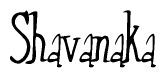 The image contains the word 'Shavanaka' written in a cursive, stylized font.