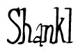 The image is a stylized text or script that reads 'Shankl' in a cursive or calligraphic font.