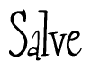 The image is a stylized text or script that reads 'Salve' in a cursive or calligraphic font.