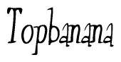 The image is of the word Topbanana stylized in a cursive script.