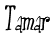 The image contains the word 'Tamar' written in a cursive, stylized font.