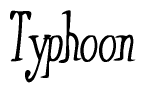 The image is of the word Typhoon stylized in a cursive script.