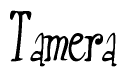 The image is a stylized text or script that reads 'Tamera' in a cursive or calligraphic font.
