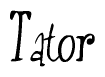 The image is of the word Tator stylized in a cursive script.