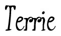 The image is a stylized text or script that reads 'Terrie' in a cursive or calligraphic font.