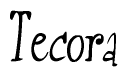 The image is of the word Tecora stylized in a cursive script.