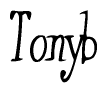 The image is a stylized text or script that reads 'Tonyb' in a cursive or calligraphic font.