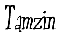 The image is a stylized text or script that reads 'Tamzin' in a cursive or calligraphic font.