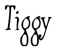 The image is of the word Tiggy stylized in a cursive script.