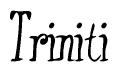 The image contains the word 'Triniti' written in a cursive, stylized font.