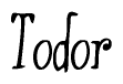 The image contains the word 'Todor' written in a cursive, stylized font.