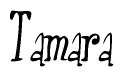 The image is of the word Tamara stylized in a cursive script.