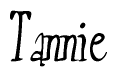 The image is a stylized text or script that reads 'Tannie' in a cursive or calligraphic font.