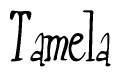 The image is a stylized text or script that reads 'Tamela' in a cursive or calligraphic font.