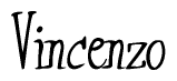 The image is of the word Vincenzo stylized in a cursive script.