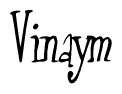 The image is of the word Vinaym stylized in a cursive script.