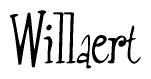 The image is a stylized text or script that reads 'Willaert' in a cursive or calligraphic font.