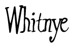 The image is of the word Whitnye stylized in a cursive script.