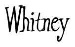 The image is a stylized text or script that reads 'Whitney' in a cursive or calligraphic font.
