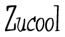 The image contains the word 'Zucool' written in a cursive, stylized font.
